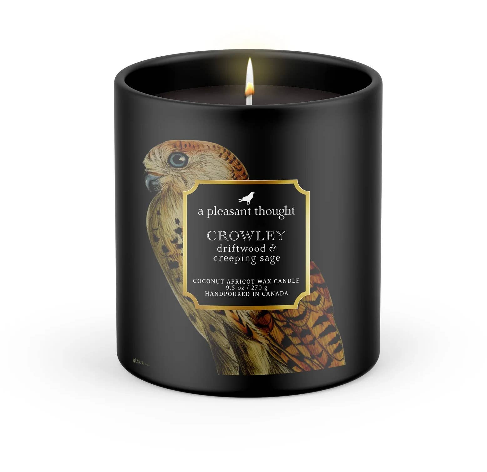 CROWLEY | DRIFTWOOD & CREEPING SAGE | RAVEN CANDLE