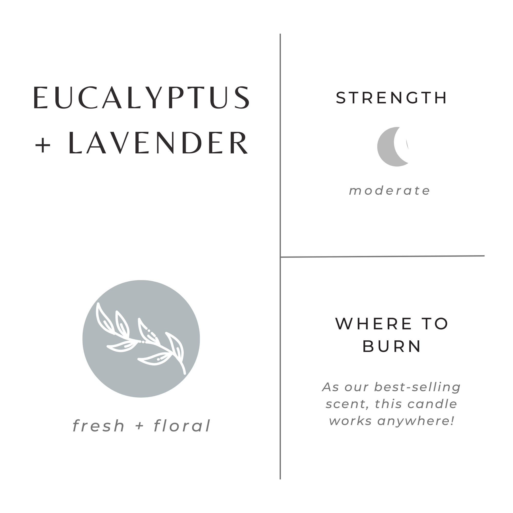 Eucalyptus + Lavender Frosted Candle