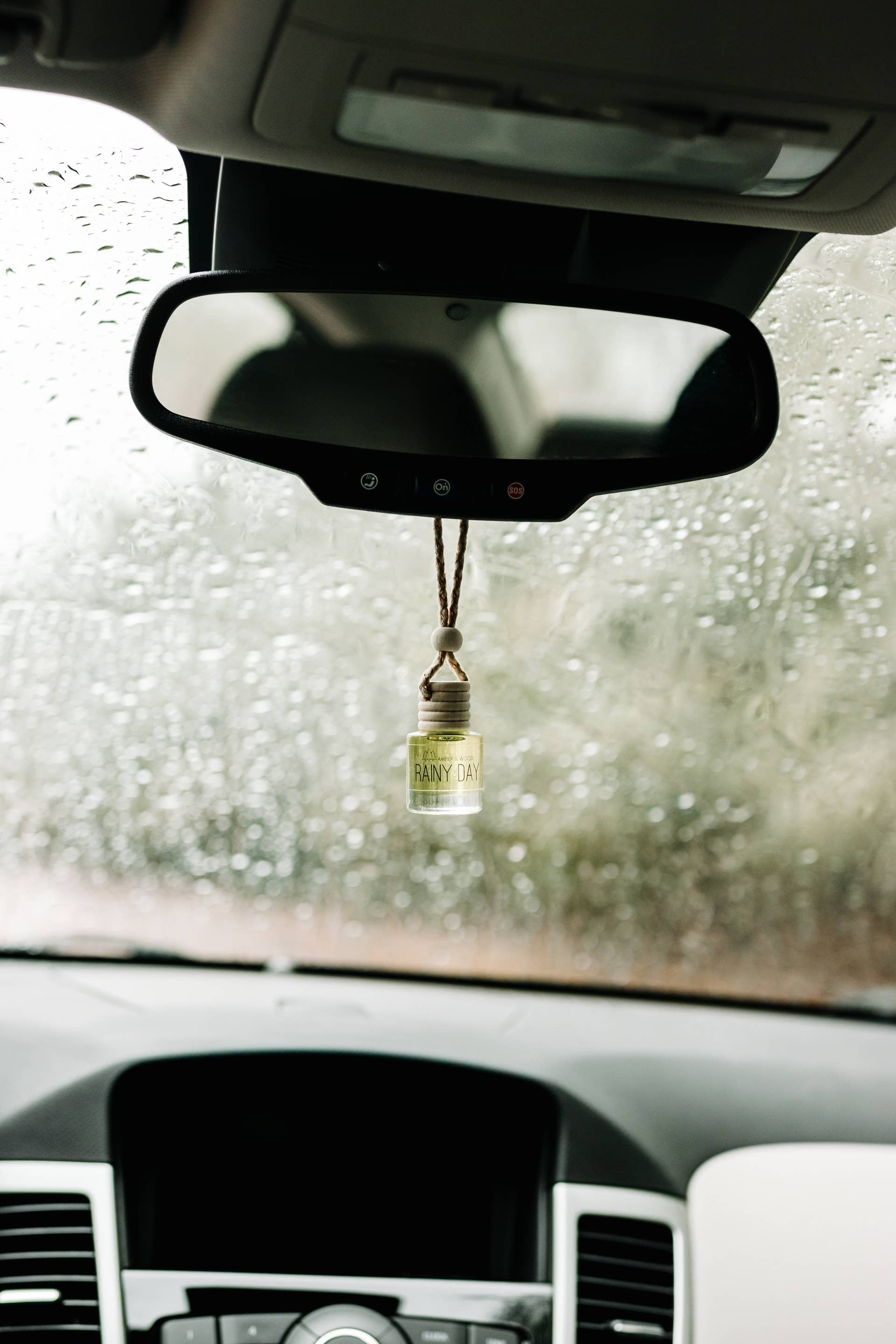 Cozy Cabin Car Diffuser